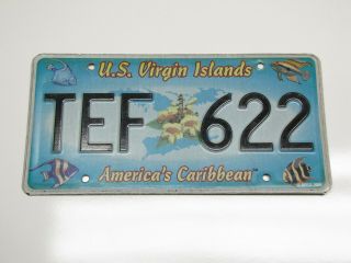 St.  Thomas Usvi Us Virgin Islands Americas Caribbean Fish License Plate Tef 622