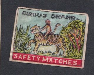 Ae Old Matchbox Label India Tttt36 Circus Brand Tiger Monkey