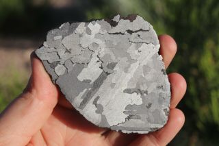 Canyon Diablo Meteorite Full Slice 75.  1 Grams