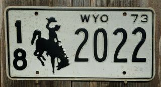 1973 Wyoming " Passenger " License Plate (crook County)