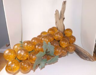 Lucite Acrylic Grapes Grape Cluster Driftwood HUGE Glitter Orange Mid Century 3