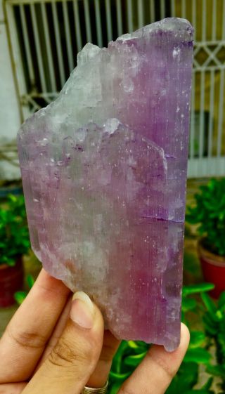 1712 C.  T Top Quality Damage Terminated Pink Color Kunzite Crystal