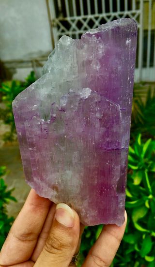 1712 C.  T Top Quality Damage Terminated Pink Color Kunzite Crystal 2