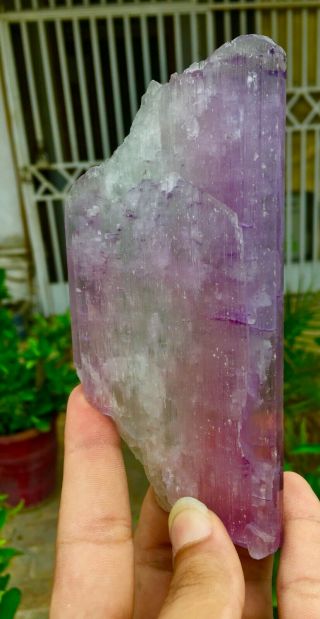 1712 C.  T Top Quality Damage Terminated Pink Color Kunzite Crystal 4