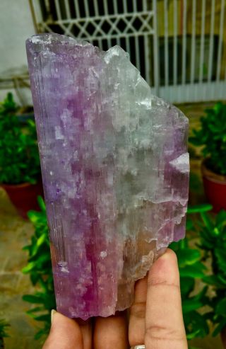 1712 C.  T Top Quality Damage Terminated Pink Color Kunzite Crystal 5
