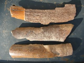 Fossil wooly mammoth bark tooth prehistoric ice age specimens x6 6