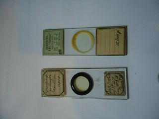 2 Antique Microscope Slides Challenger Expedition With Data