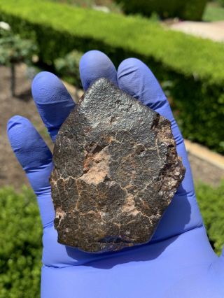 Meteorite Nwa,  Unclassified 210.  61 Grams,  Fusion Crust