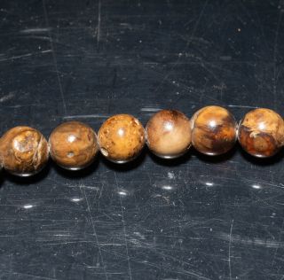 Late 19th c.  Chinese Antique Root Amber Prayer Beads 5