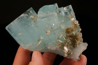 LARGE Aquamarine Crystal Cluster SHENGUS,  PAKISTAN 9
