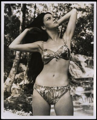 Pretty Bunny Yeager Pin - Up Photograph 60s Gorgeous Model Babe Collins
