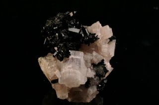 EXTRAORDINARY Cuspidine Crystal on Vesuvianite INNER MONGOLIA,  CHINA 10