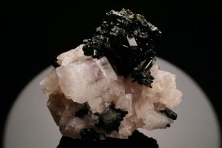 Extraordinary Cuspidine Crystal On Vesuvianite Inner Mongolia,  China