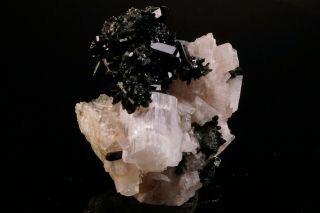EXTRAORDINARY Cuspidine Crystal on Vesuvianite INNER MONGOLIA,  CHINA 2