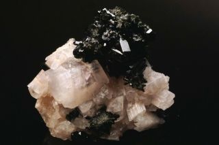 EXTRAORDINARY Cuspidine Crystal on Vesuvianite INNER MONGOLIA,  CHINA 4