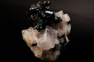 EXTRAORDINARY Cuspidine Crystal on Vesuvianite INNER MONGOLIA,  CHINA 5
