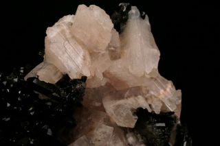 EXTRAORDINARY Cuspidine Crystal on Vesuvianite INNER MONGOLIA,  CHINA 8