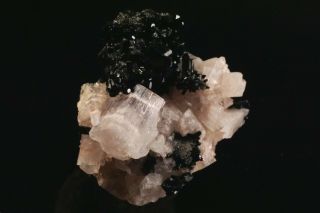 EXTRAORDINARY Cuspidine Crystal on Vesuvianite INNER MONGOLIA,  CHINA 9