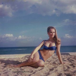 Bunny Yeager 1960s Color Camera Transparency Photograph Pin - Up Blonde Bikini Hot