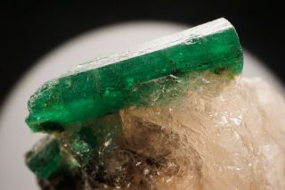 Emerald Crystal on Quartz CARNAIBA,  BRAZIL 3