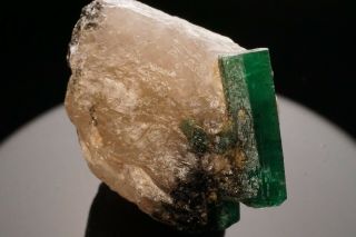Emerald Crystal on Quartz CARNAIBA,  BRAZIL 4