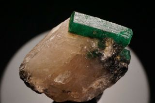 Emerald Crystal on Quartz CARNAIBA,  BRAZIL 6