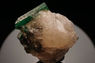 Emerald Crystal on Quartz CARNAIBA,  BRAZIL 8