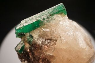 Emerald Crystal on Quartz CARNAIBA,  BRAZIL 9