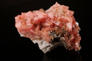Rhodochrosite Crystal Cluster MT ST HILAIRE CANADA Ex Logan ILLUSTRATED 10