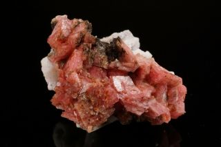 Rhodochrosite Crystal Cluster MT ST HILAIRE CANADA Ex Logan ILLUSTRATED 11