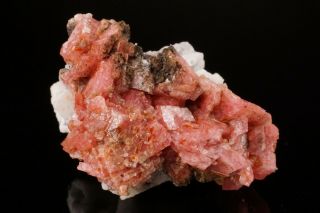 Rhodochrosite Crystal Cluster Mt St Hilaire Canada Ex Logan Illustrated