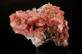 Rhodochrosite Crystal Cluster MT ST HILAIRE CANADA Ex Logan ILLUSTRATED 2