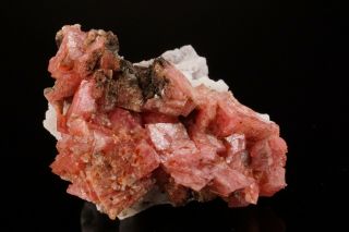 Rhodochrosite Crystal Cluster MT ST HILAIRE CANADA Ex Logan ILLUSTRATED 3