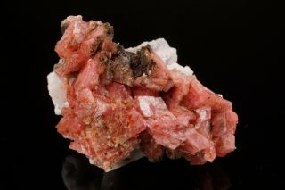 Rhodochrosite Crystal Cluster MT ST HILAIRE CANADA Ex Logan ILLUSTRATED 4