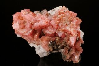 Rhodochrosite Crystal Cluster MT ST HILAIRE CANADA Ex Logan ILLUSTRATED 5