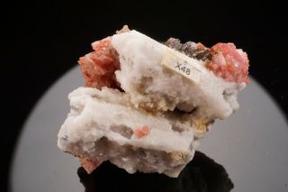 Rhodochrosite Crystal Cluster MT ST HILAIRE CANADA Ex Logan ILLUSTRATED 6