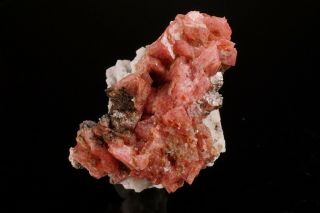 Rhodochrosite Crystal Cluster MT ST HILAIRE CANADA Ex Logan ILLUSTRATED 8