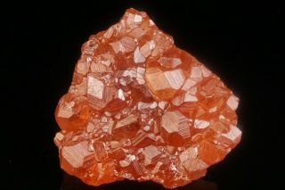 Grossular Garnet Hessonite Crystal Cluster Jeffrey Mine,  Canada