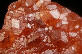 Grossular Garnet Hessonite Crystal Cluster JEFFREY MINE,  CANADA 3