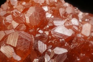 Grossular Garnet Hessonite Crystal Cluster JEFFREY MINE,  CANADA 5