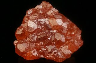 Grossular Garnet Hessonite Crystal Cluster JEFFREY MINE,  CANADA 9