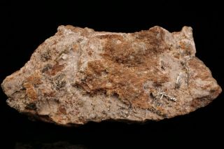 CLASSIC Sylvanite Crystal CRIPPLE CREEK,  COLORADO - Ex.  Robertson 11