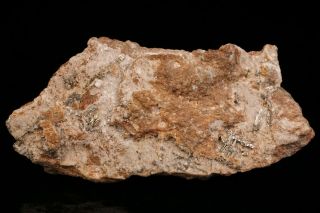 CLASSIC Sylvanite Crystal CRIPPLE CREEK,  COLORADO - Ex.  Robertson 3
