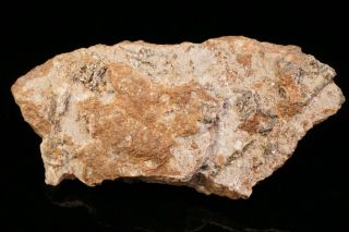 CLASSIC Sylvanite Crystal CRIPPLE CREEK,  COLORADO - Ex.  Robertson 5