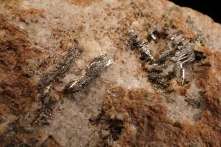 CLASSIC Sylvanite Crystal CRIPPLE CREEK,  COLORADO - Ex.  Robertson 6