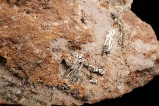 CLASSIC Sylvanite Crystal CRIPPLE CREEK,  COLORADO - Ex.  Robertson 7