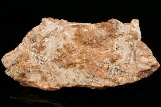 CLASSIC Sylvanite Crystal CRIPPLE CREEK,  COLORADO - Ex.  Robertson 9
