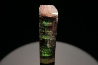 Bi - Color Tourmaline Crystal CRUZEIRO,  BRAZIL 11
