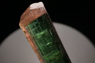 Bi - Color Tourmaline Crystal CRUZEIRO,  BRAZIL 2
