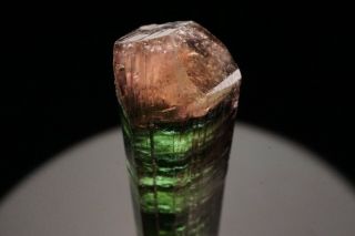 Bi - Color Tourmaline Crystal CRUZEIRO,  BRAZIL 3